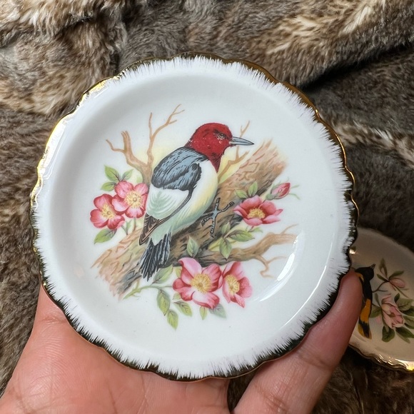 Miniature Porcelain Bird Plates Perched On Branches With Flowers White Gold Trim - Picture 6 of 7